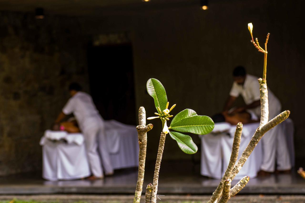 Santani Wellness Kandy Exteriör bild